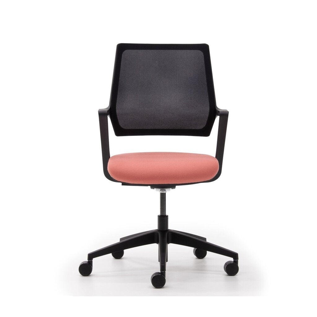 Verco Hovva
