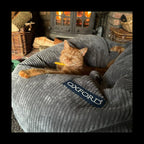 PEBL beanbag with sleeping cat