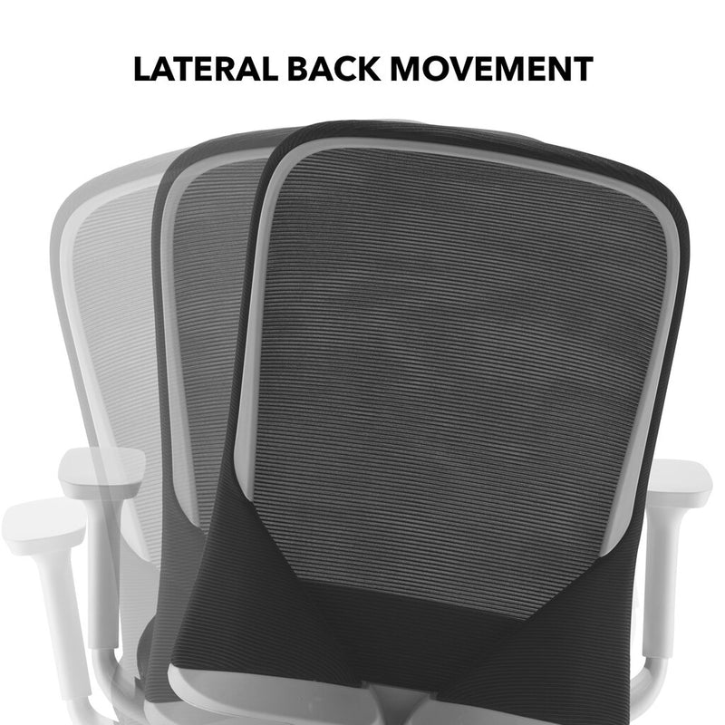 Dams Sway task chair back movement