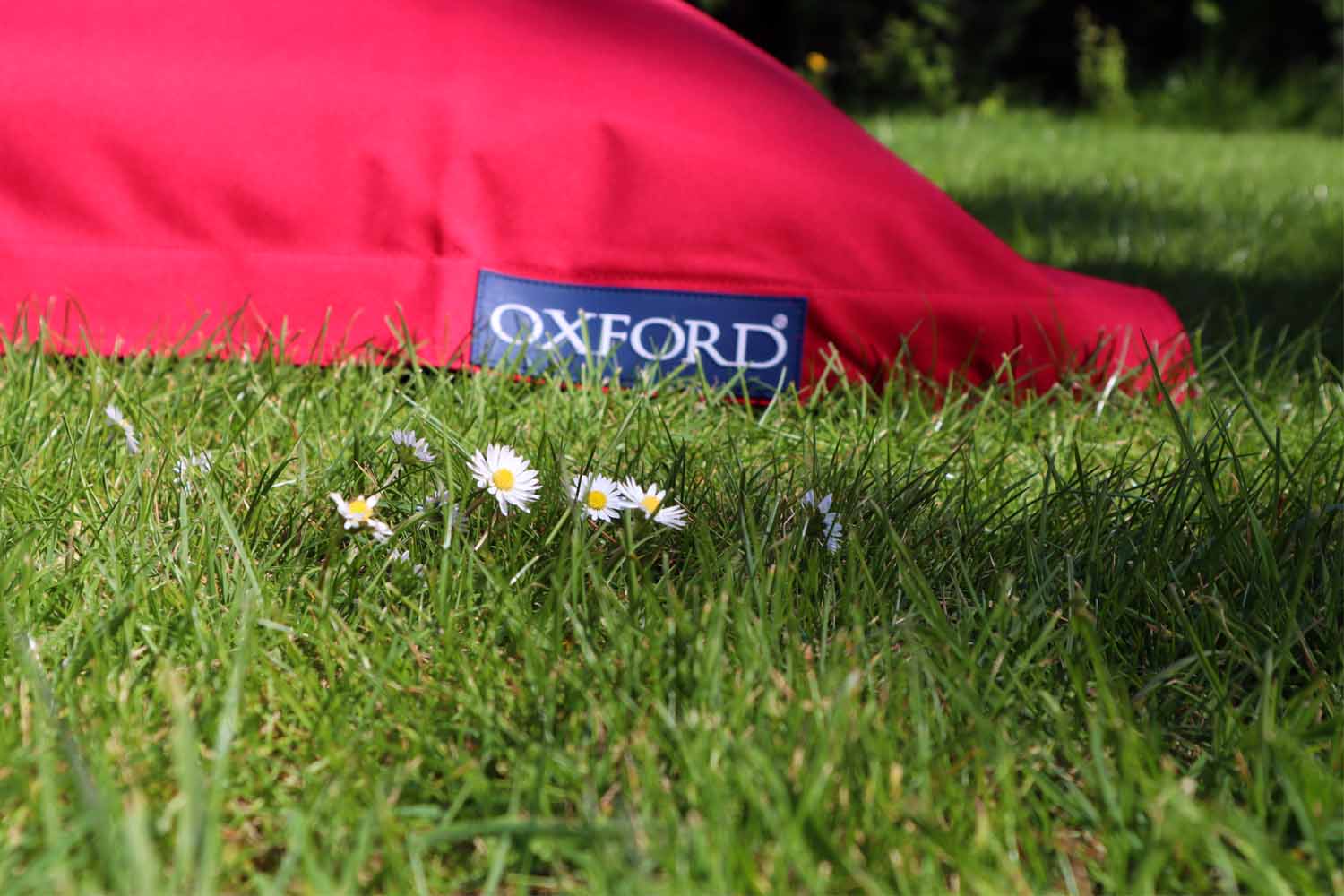 Oxford Beanbag MIDI detail